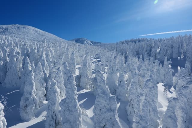 Zao Onsen beyond snow monsters a year round hot spring destination