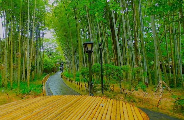 Shuzenji Onsen A Hidden Gem Hot Spring Town in Izu